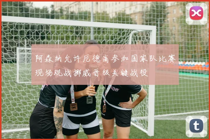 阿森纳允许厄德高参加国家队比赛现场观战挪威晋级关键战役