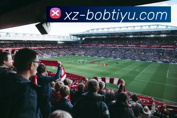 App Interface Preview